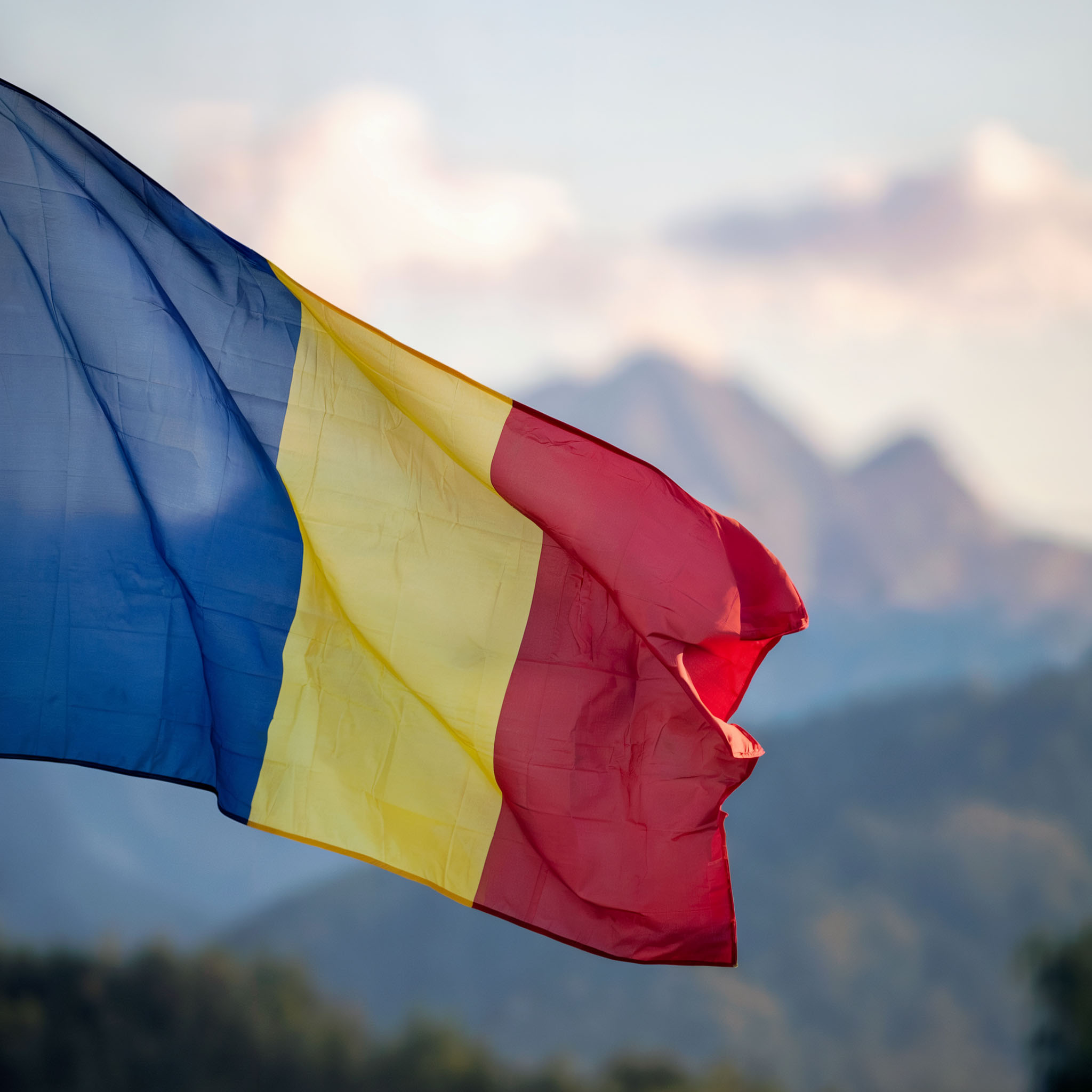 VieCode Shop - Customer-Specific Downloads Romanian